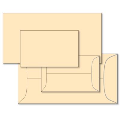 Blank License Plate Mailing Envelopes auto dealer supply